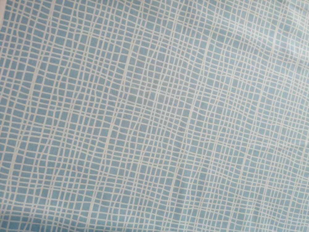 Blue Goose Light Blue cross hatch cotton fabric fat quarter