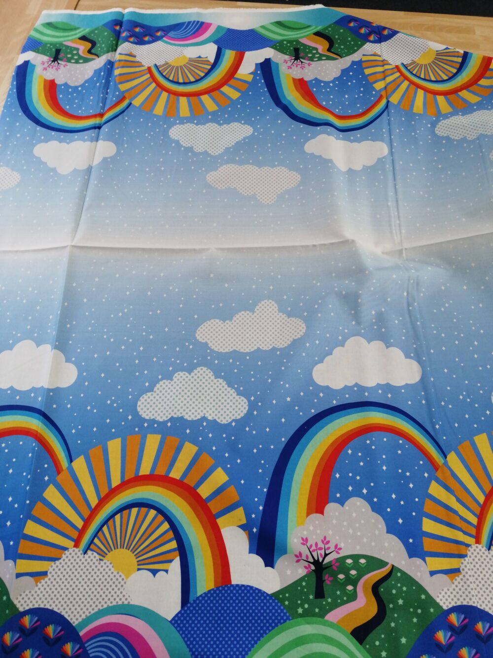 Over the Rainbow Border Fabric by Half metre