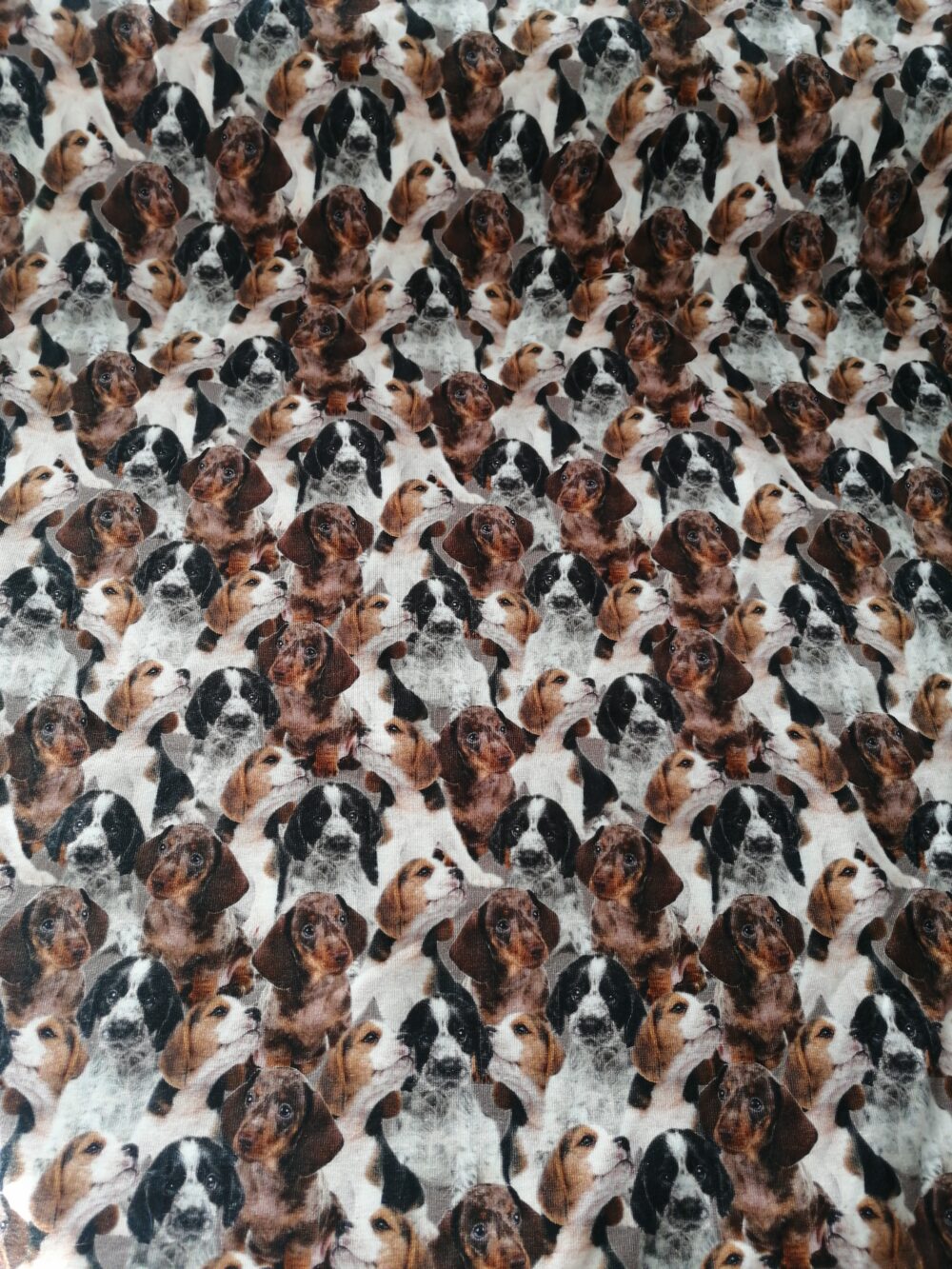 Dog breeds cotton jersey fabric