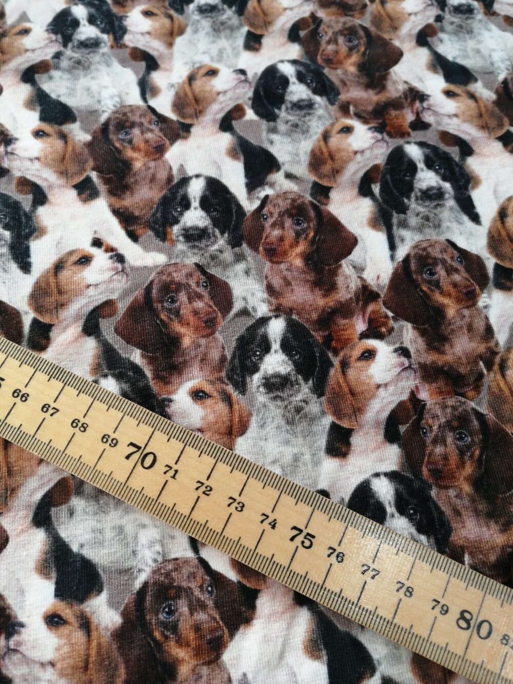 Dog breeds cotton jersey fabric - Image 3