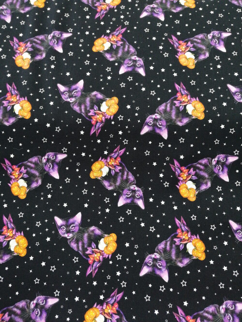 Hallowishes black cats cotton fabric