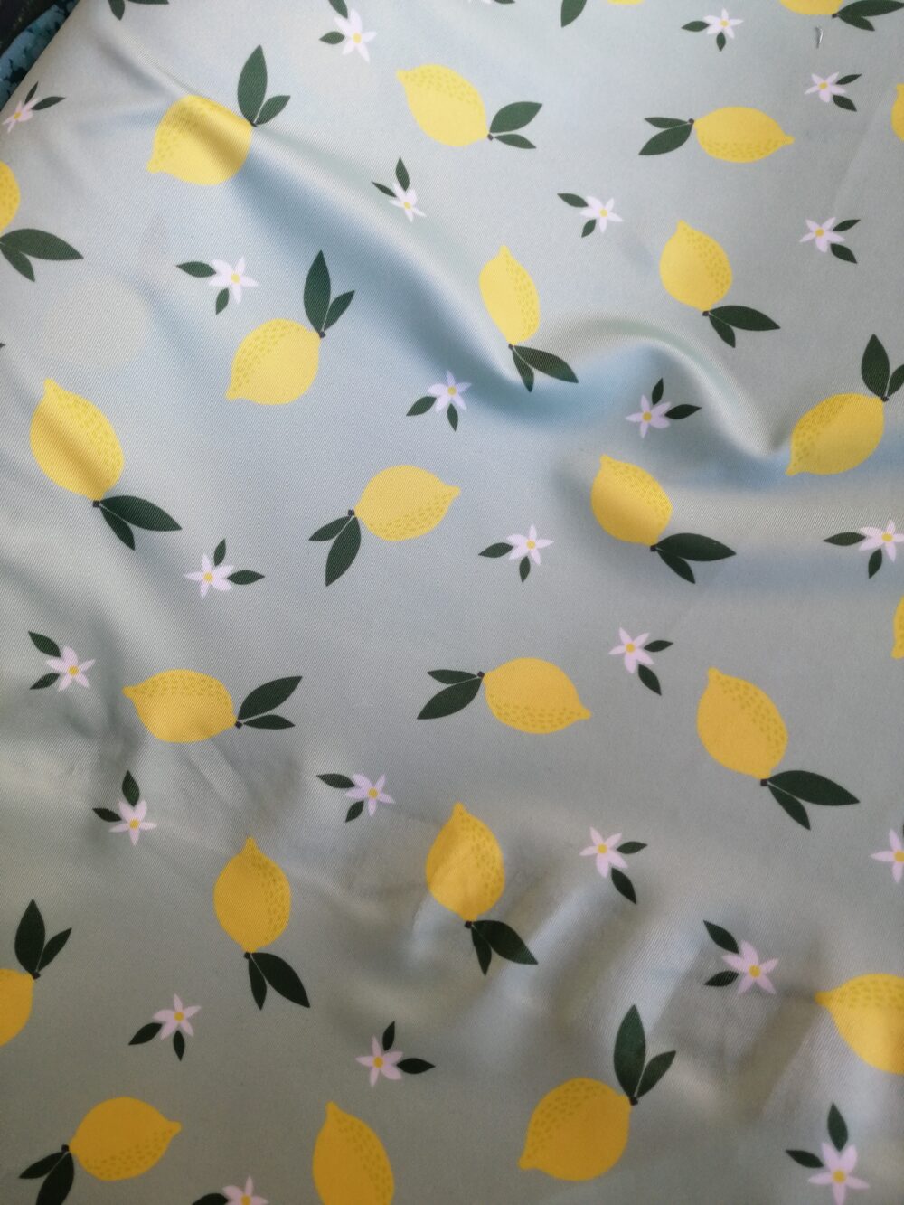 Lemons Active Wear Fabric